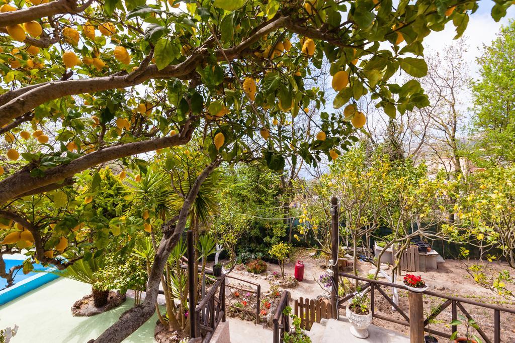 Gasthaus Nitrodi Experience Barano dʼIschia Exterior foto