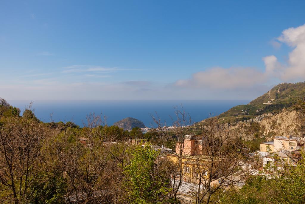 Gasthaus Nitrodi Experience Barano dʼIschia Exterior foto